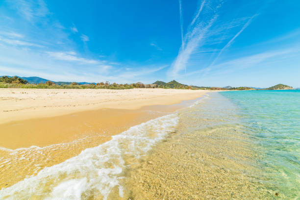 istock Golden shore in Cala Sinzias 680105696
