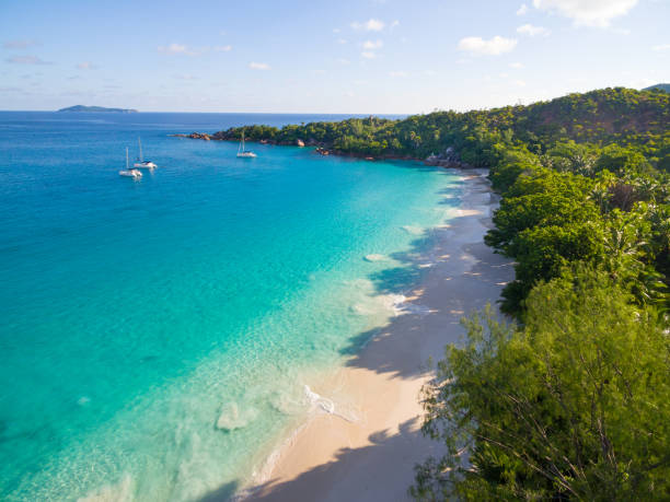 istock Aerial: Beautiful tropical beach - Anse Lazio, Praslin Island 680114686