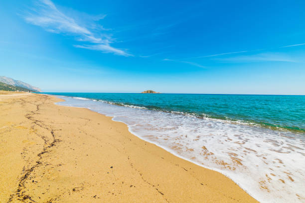 istock Golden shore in Is Orrosas beach 680117304