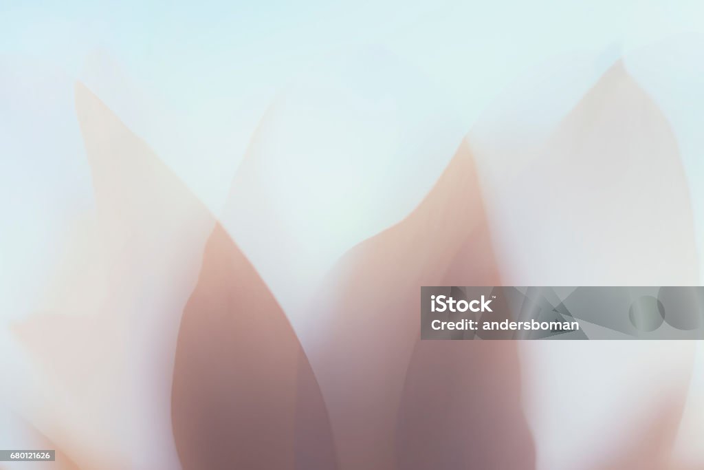 二重露光でソフトの抽象花 - 抽象的のロイヤリティフリーストックフォト