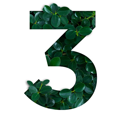 Nature concept alphabet of green leaves in number three shape