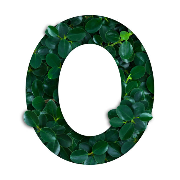 istock Nature concept alphabet of green leaves in number zero shape 680122502