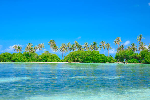 istock tropical beach in Maldives 680123072
