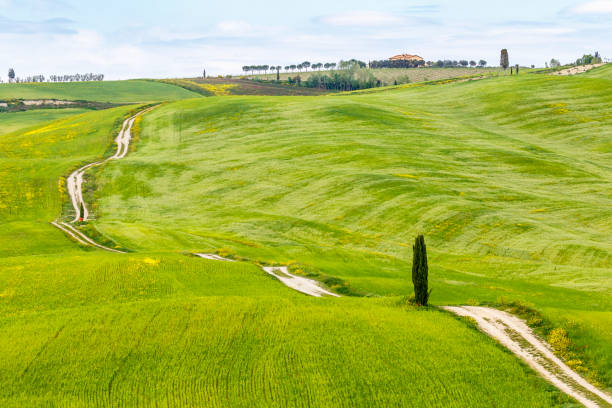 istock Rolling agricultural landscape with a dirt road across the fields 680138016