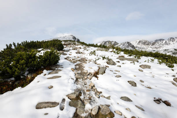 istock mountain tops in winter covered in snow 680141560