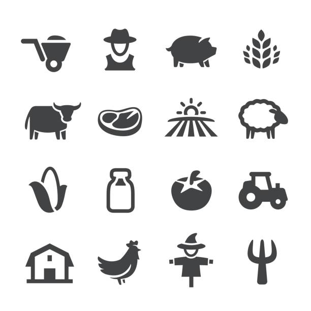 ilustrações de stock, clip art, desenhos animados e ícones de farm icons - acme series - carne