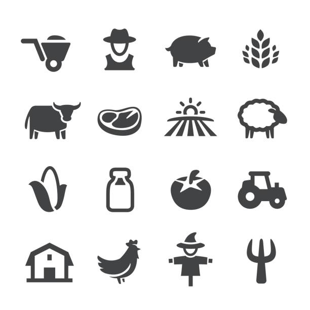 иконки фермы - серия acme - мясо stock illustrations