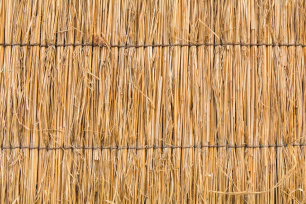 detail of Japanese thatched roof texture background detail of Japanese thatched roof texture background straw roof stock pictures, royalty-free photos & images