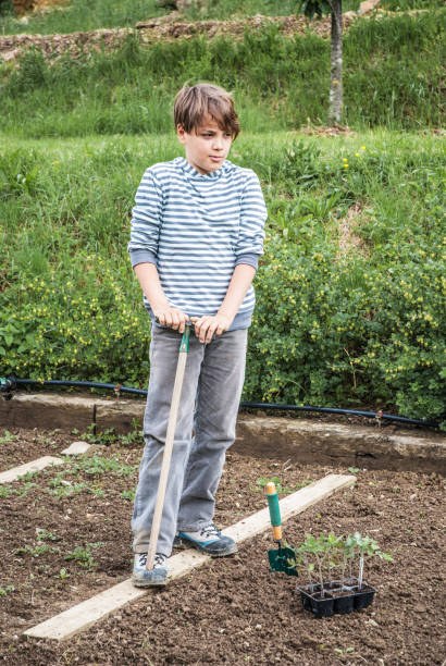 istock Teenage Boy in Vegetable Garden 680147830