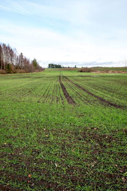 istock countryside fields in autumn with young crops 680151380