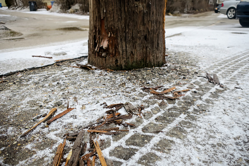 Someone scratched this wooden telephone pole amd left tire tracks with their car because of the slippery ice.