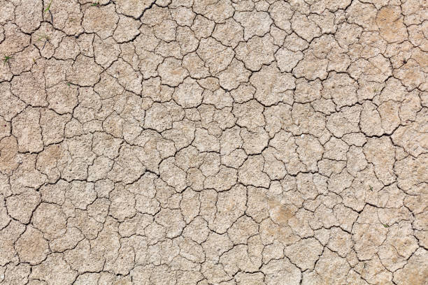 Full Frame Photo Of Cracked Earth