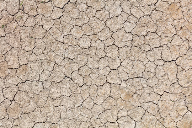 Full Frame Photo Of Cracked Earth Full Frame Photo Of Cracked Earth lake bed stock pictures, royalty-free photos & images