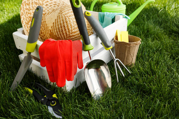 istock Gardening tools and a straw hat on the grass in the garden. 680166010