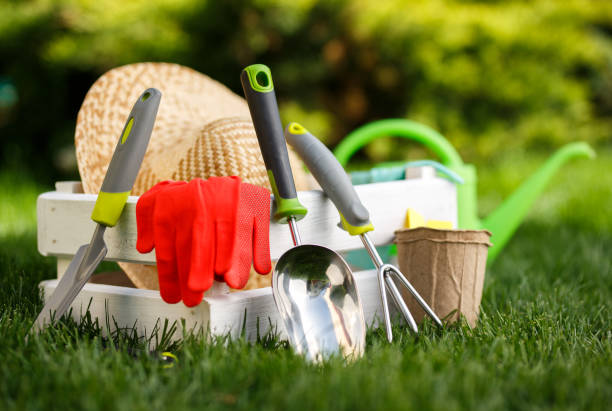 istock Gardening tools and a straw hat on the grass in the garden. 680166060