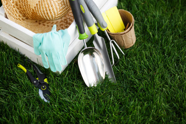istock Gardening tools and a straw hat on the grass in the garden. 680166228