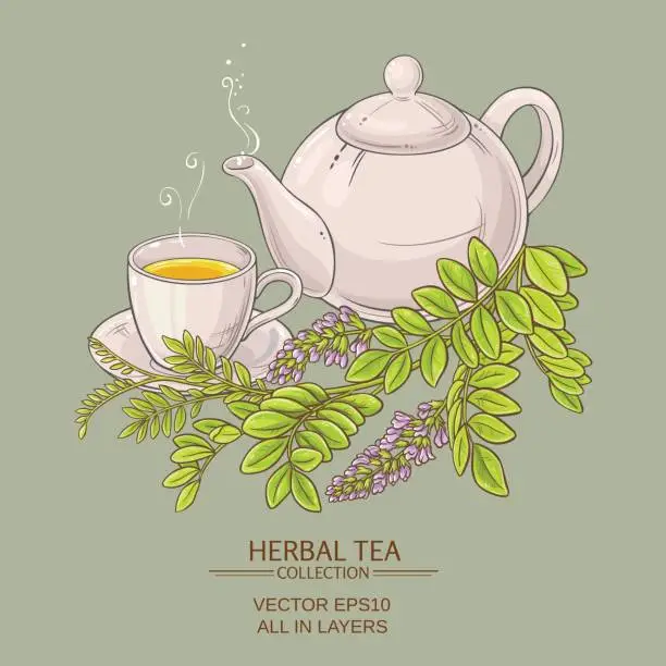 Vector illustration of cup of licorice tea and teapot