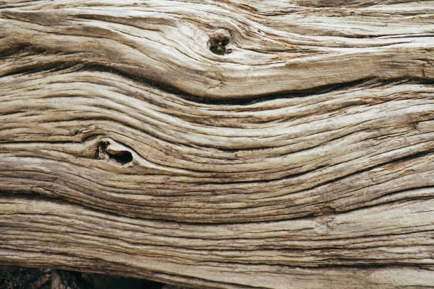 istock Vintage brown wooden texture with contrast knots 680169094