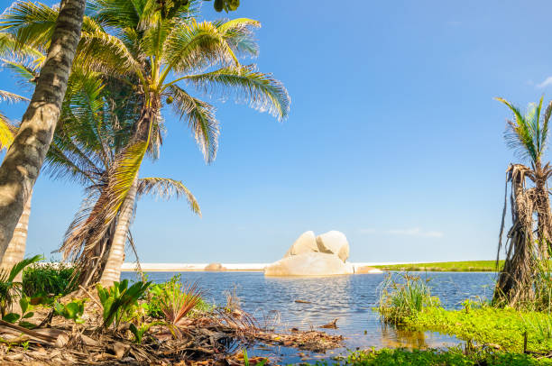 Paradise Lagoon in National Park Tayrona in Colombia View on paradise Lagoon in National Park Tayrona in Colombia hillary clinton stock pictures, royalty-free photos & images