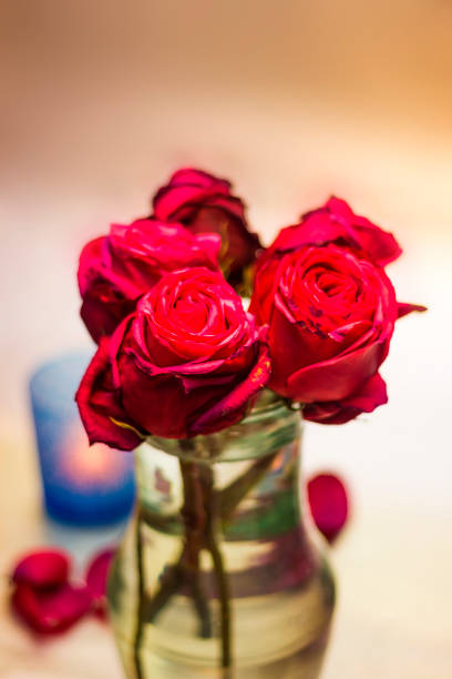 istock Pink rose buds 680172102