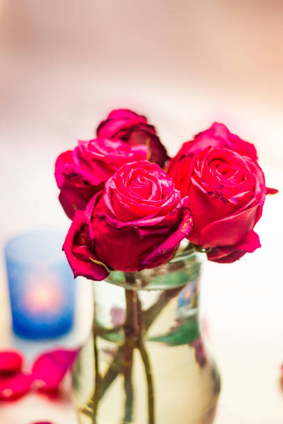 istock Pink rose buds in vase 680172378