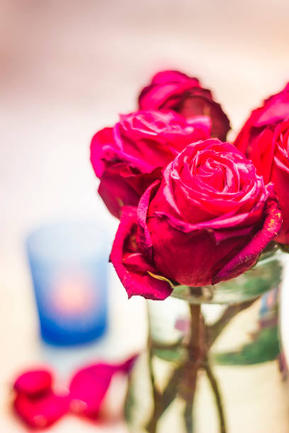 istock Pink rose buds in vase 680172810