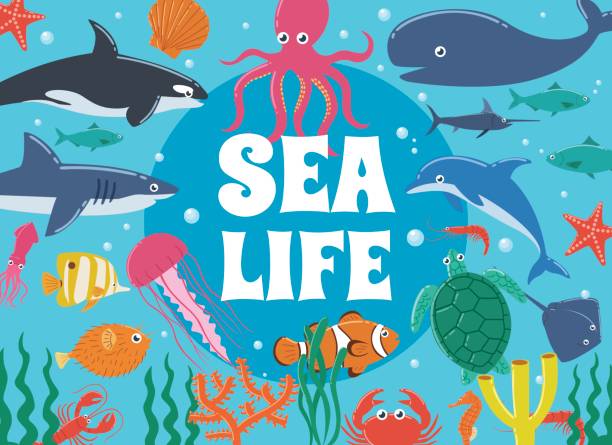 ilustraciones, imágenes clip art, dibujos animados e iconos de stock de vida marina. mundo submarino con criaturas marinas - copperband butterflyfish