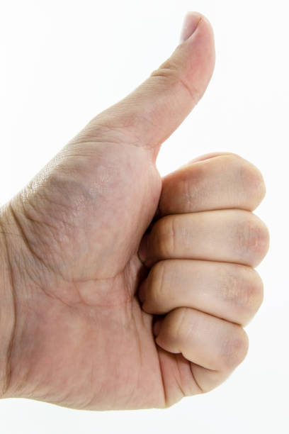 istock A thumbs up gesture performed by a real human hand. This photo can also be used to represent acknowledgment or approval. 680177050