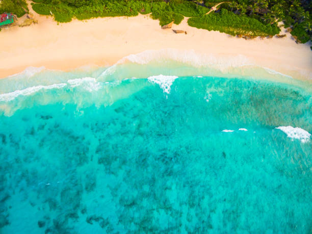 istock Aerial: coastline of La Digue Island, Seychelles 680177670