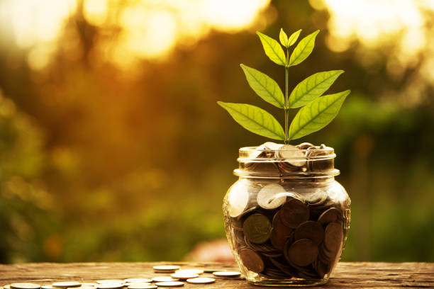Coins in glass and stack coins with tree for business.