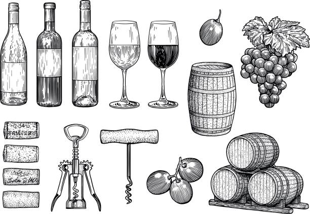 Wine stuff illustration, drawing, engraving, ink, line art, vector Illustration, what made by ink, then it was digitalized. wine bottle illustrations stock illustrations