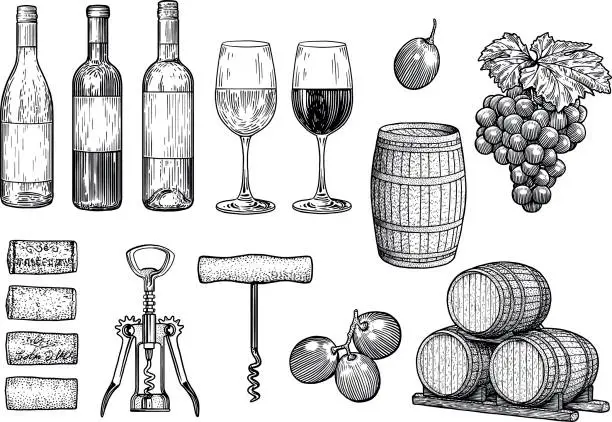 Vector illustration of Wine stuff illustration, drawing, engraving, ink, line art, vector