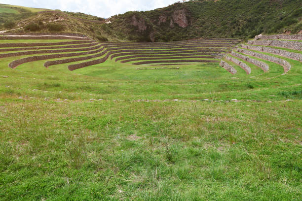 istock Grass green field in inca terraces 680198950