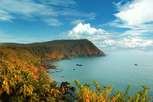 bela vista de goa de alta, aparecyda, índia - goa beach india green - fotografias e filmes do acervo