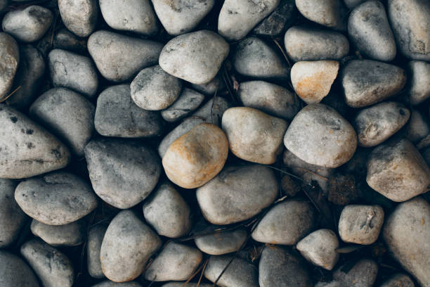 Black and white photograph of garden stones