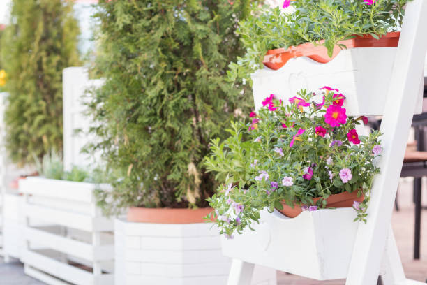 istock Street cafe flowers and herbs decor concept. 680208292