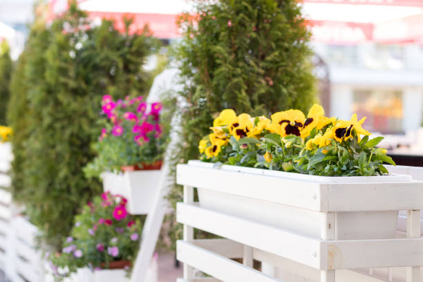 istock Street cafe flowers and herbs decor concept. 680208302