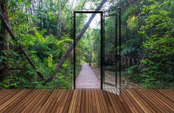 istock Landscape behind the opening door 680211046