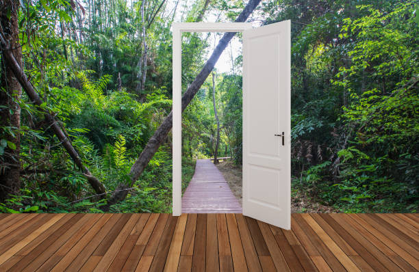 istock Landscape behind the opening door 680211072