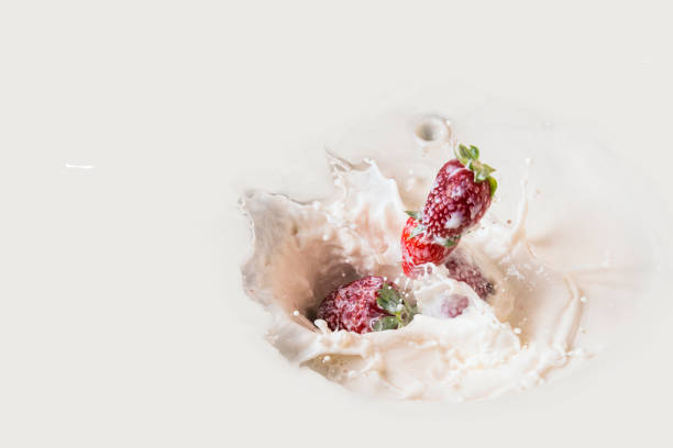 Splash from the falling strawberry in milk, lifting milk drops