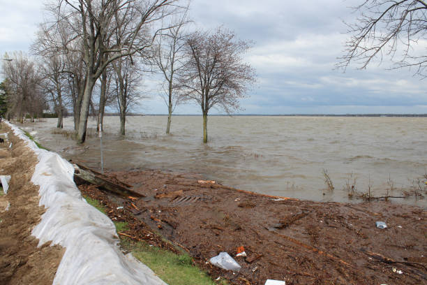 istock Dam made of sand bags 680222332