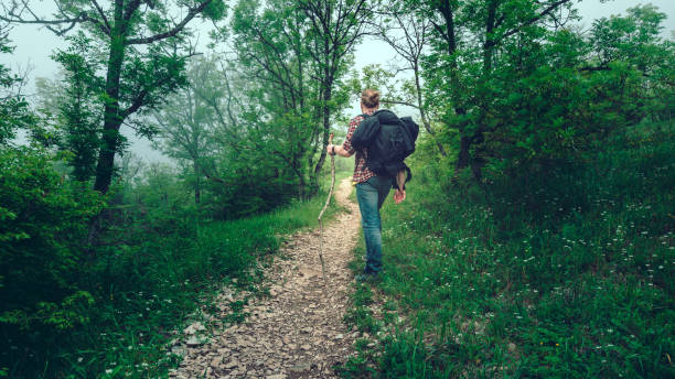 istock Man traveler walks along a path through a mountain forest. Travel lifestyle 680224484