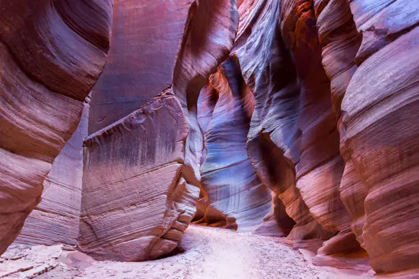 Photo of Buckskin Gulch Slot Canyon Hiking Utah United States