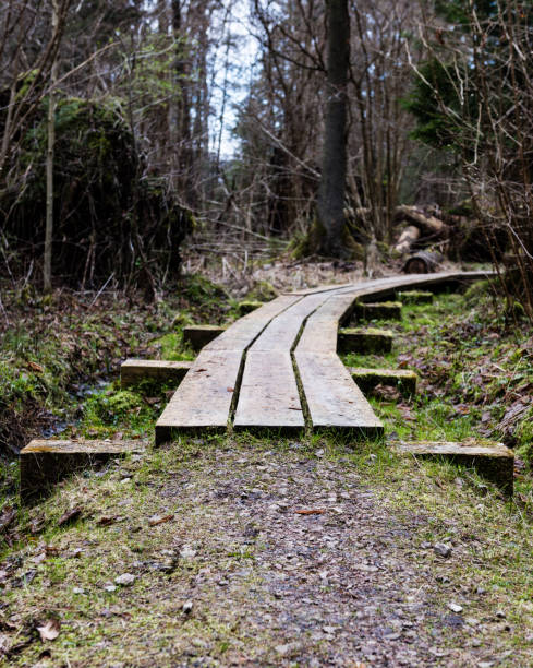istock wooden footbridge in the bog 680226162