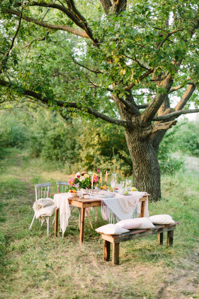 picnic, summer, holiday concept - festive table setting under big oak tree in forest, openwork white tablecloth, wooden bench and chairs, colorful bouquet, candlesticks, fruits, lemonade stock photo