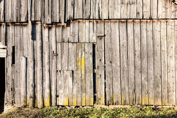 istock Abandoned ruins of old wooden building 680234764