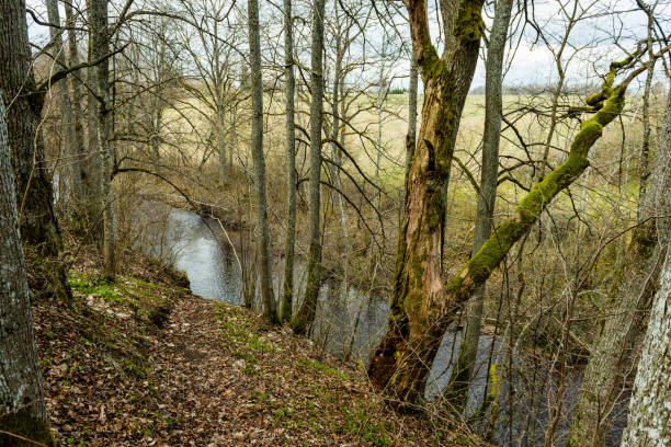 istock scenic and beautiful tourism roud in the forest 680234778