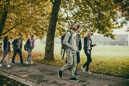 Group of university students walking in two groups through the park.