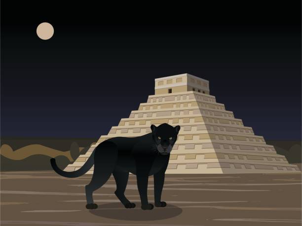 Maya, Aztec, Inca Civilization. Maya, Aztec, Inca Civilization, city in the jungles, black panther and Mayan temple, Panther in the night, vector illustration. aztec-jaguar stock illustrations