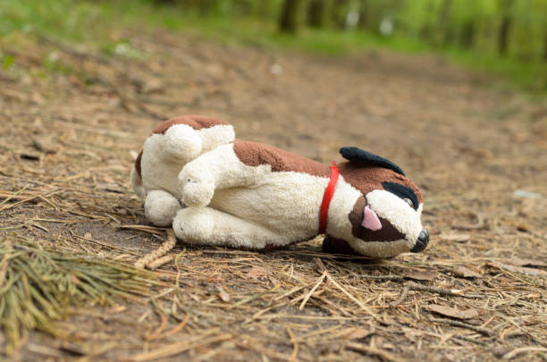 istock Missing child. Abandoned toy. Loneliness. 680274624